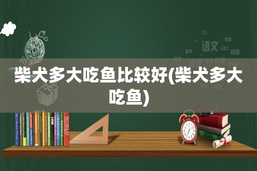 柴犬多大吃鱼比较好(柴犬多大吃鱼)