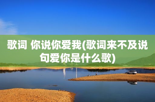 歌词 你说你爱我(歌词来不及说句爱你是什么歌)