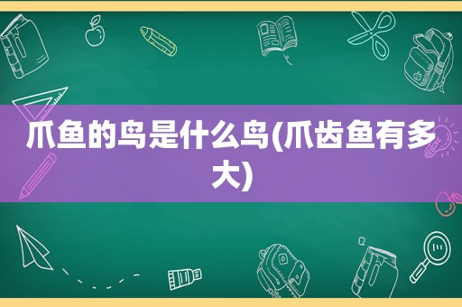爪鱼的鸟是什么鸟(爪齿鱼有多大)