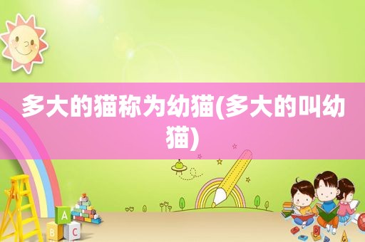 多大的猫称为幼猫(多大的叫幼猫)