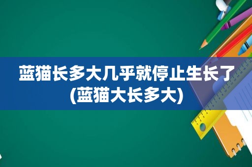 蓝猫长多大几乎就停止生长了(蓝猫大长多大)