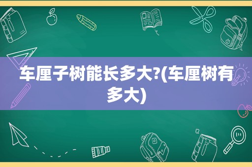 车厘子树能长多大?(车厘树有多大)