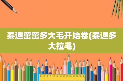 泰迪窜窜多大毛开始卷(泰迪多大拉毛)