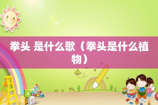 拳头 是什么歌（拳头是什么植物）