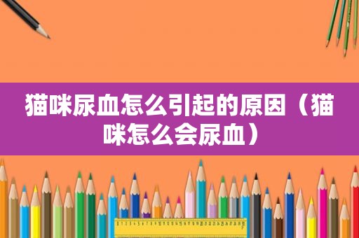 猫咪尿血怎么引起的原因（猫咪怎么会尿血）