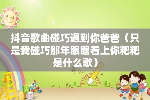 抖音歌曲碰巧遇到你爸爸（只是我碰巧那年眼瞎看上你粑粑是什么歌）
