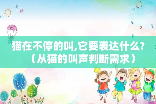 猫在不停的叫,它要表达什么?（从猫的叫声判断需求）
