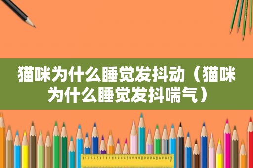 猫咪为什么睡觉发抖动（猫咪为什么睡觉发抖喘气）