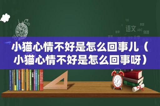 小猫心情不好是怎么回事儿（小猫心情不好是怎么回事呀）