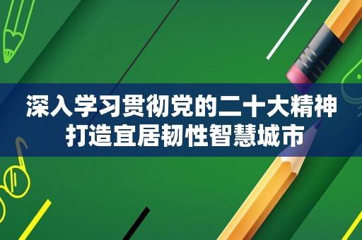 深入学习贯彻党的二十大精神 打造宜居韧性智慧城市
