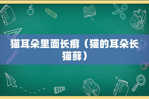 猫耳朵里面长癣（猫的耳朵长猫藓）
