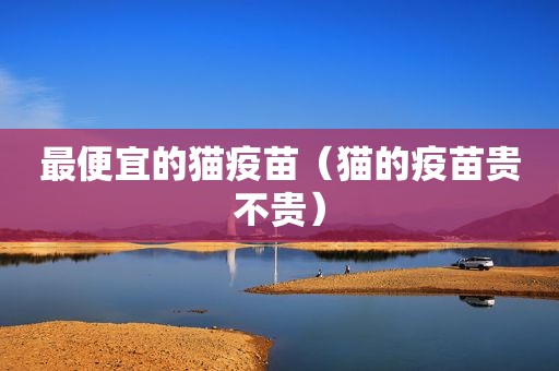 最便宜的猫疫苗（猫的疫苗贵不贵）