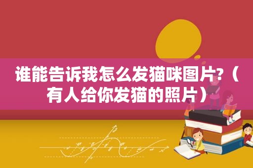 谁能告诉我怎么发猫咪图片?（有人给你发猫的照片）