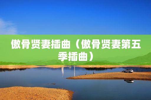 傲骨贤妻插曲（傲骨贤妻第五季插曲）