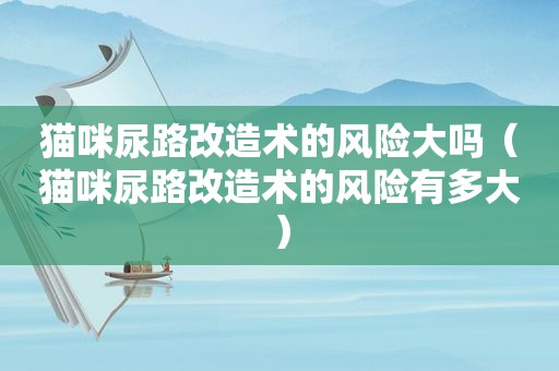猫咪尿路改造术的风险大吗（猫咪尿路改造术的风险有多大）