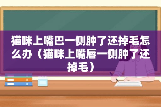 猫咪上嘴巴一侧肿了还掉毛怎么办（猫咪上嘴唇一侧肿了还掉毛）
