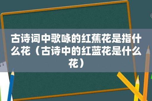 古诗词中歌咏的红蕉花是指什么花（古诗中的红蓝花是什么花）