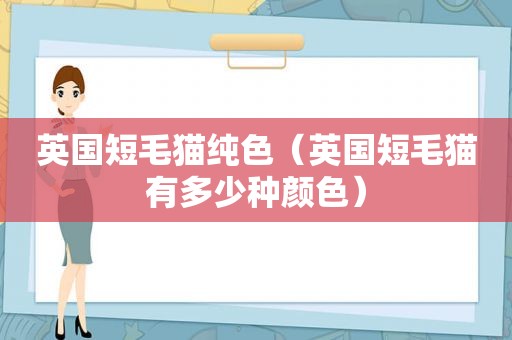 英国短毛猫纯色（英国短毛猫有多少种颜色）