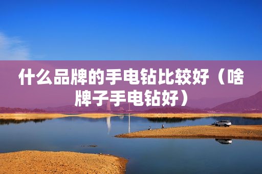 什么品牌的手电钻比较好（啥牌子手电钻好）