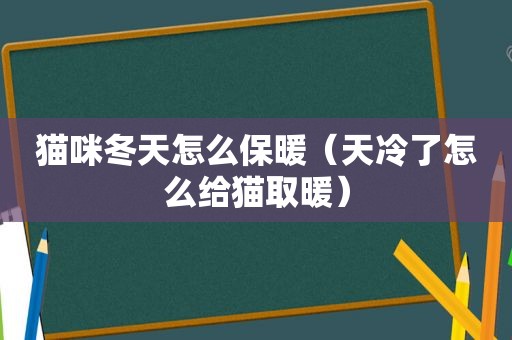 猫咪冬天怎么保暖（天冷了怎么给猫取暖）