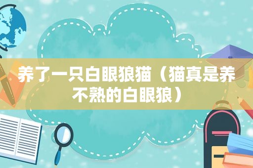 养了一只白眼狼猫（猫真是养不熟的白眼狼）