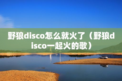 野狼disco怎么就火了（野狼disco一起火的歌）
