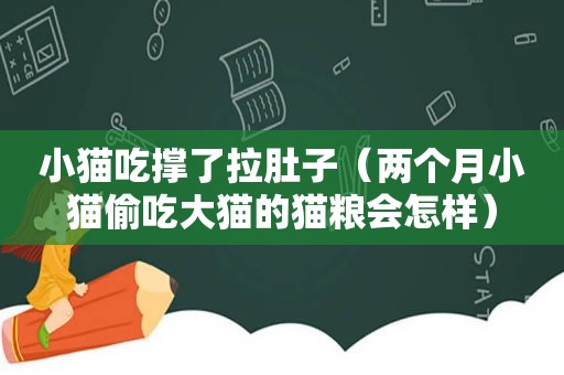 小猫吃撑了拉肚子（两个月小猫偷吃大猫的猫粮会怎样）
