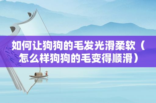 如何让狗狗的毛发光滑柔软（怎么样狗狗的毛变得顺滑）