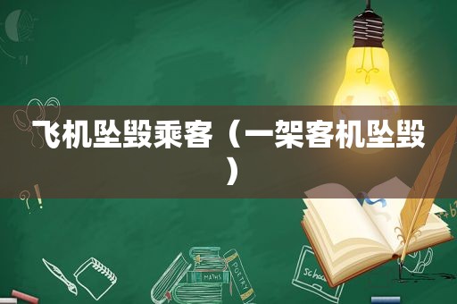 飞机坠毁乘客（一架客机坠毁）