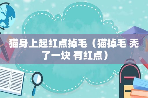 猫身上起红点掉毛（猫掉毛 秃了一块 有红点）