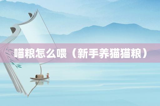 喵粮怎么喂（新手养猫猫粮）