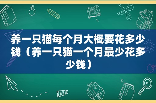 养一只猫每个月大概要花多少钱（养一只猫一个月最少花多少钱）