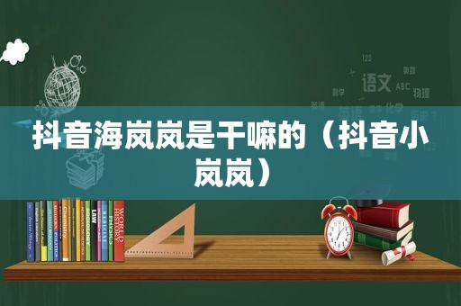 抖音海岚岚是干嘛的（抖音小岚岚）