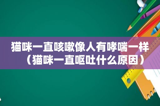 猫咪一直咳嗽像人有哮喘一样（猫咪一直呕吐什么原因）