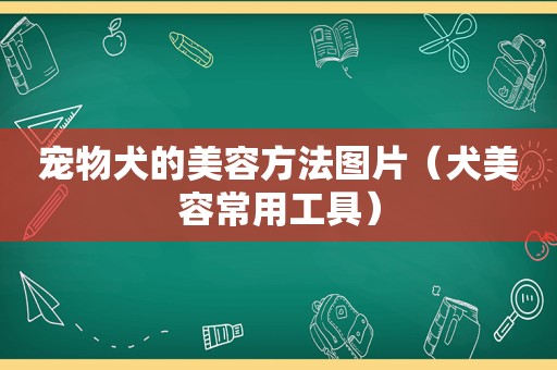 宠物犬的美容方法图片（犬美容常用工具）