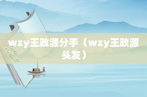 wzy王政源分手（wzy王政源头发）