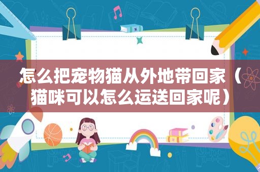 怎么把宠物猫从外地带回家（猫咪可以怎么运送回家呢）
