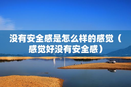 没有安全感是怎么样的感觉（感觉好没有安全感）
