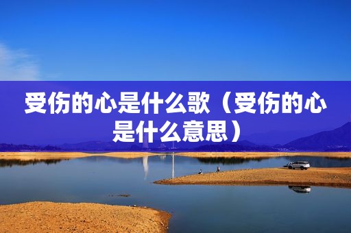 受伤的心是什么歌（受伤的心是什么意思）