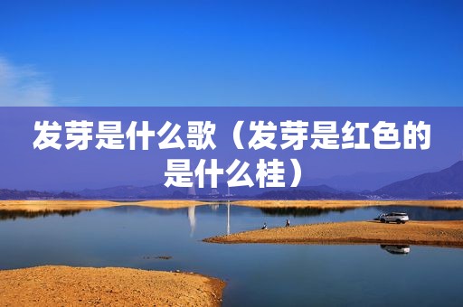 发芽是什么歌（发芽是红色的是什么桂）