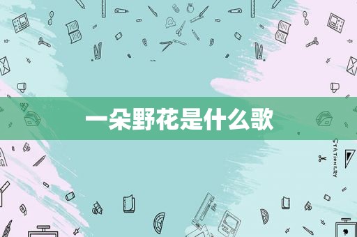 一朵野花是什么歌