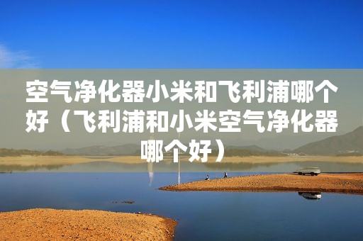 空气净化器小米和飞利浦哪个好（飞利浦和小米空气净化器哪个好）