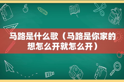 马路是什么歌（马路是你家的想怎么开就怎么开）