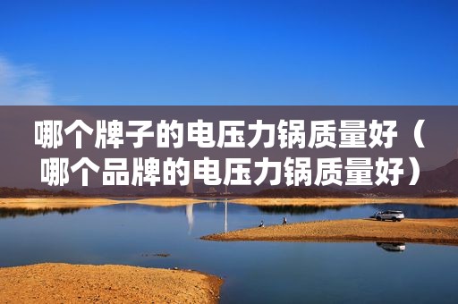 哪个牌子的电压力锅质量好（哪个品牌的电压力锅质量好）