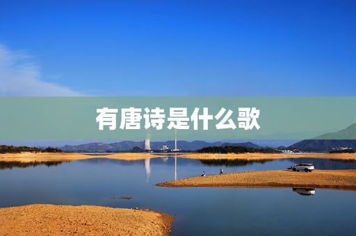 有唐诗是什么歌