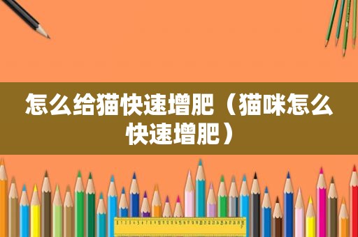 怎么给猫快速增肥（猫咪怎么快速增肥）