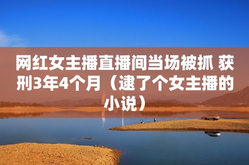 网红女主播直播间当场被抓 获刑3年4个月（逮了个女主播的小说）