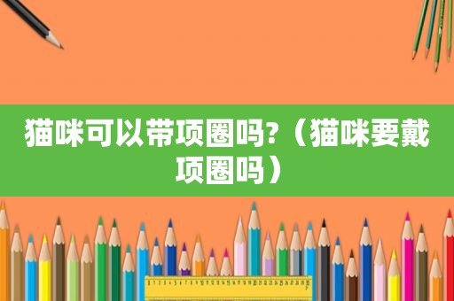 猫咪可以带项圈吗?（猫咪要戴项圈吗）