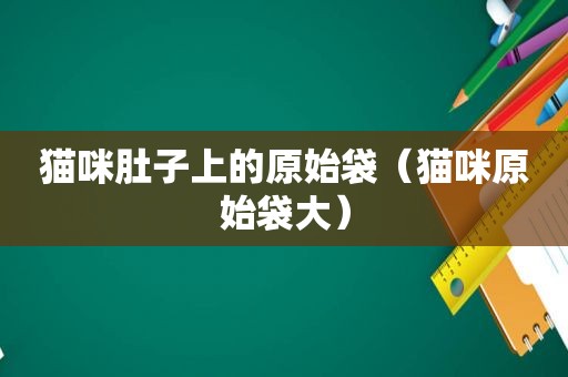 猫咪肚子上的原始袋（猫咪原始袋大）