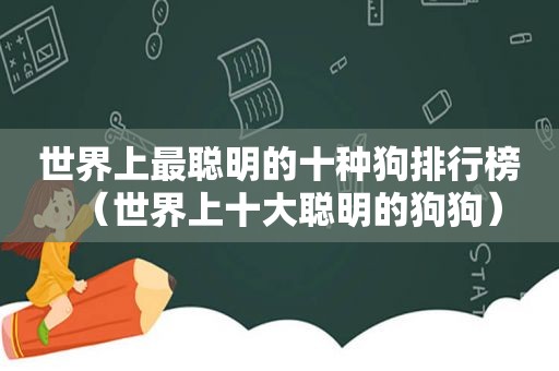 世界上最聪明的十种狗排行榜（世界上十大聪明的狗狗）